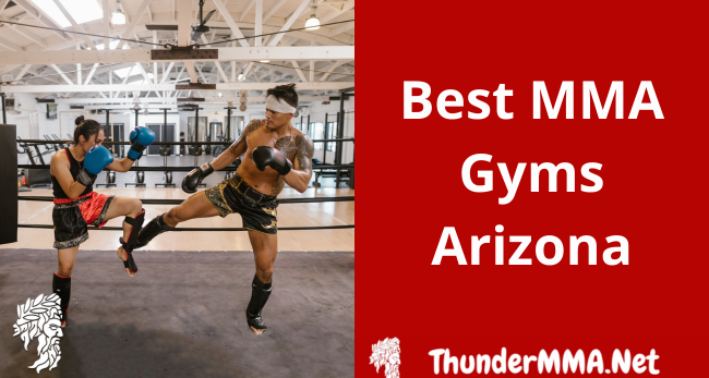 Best MMA Gyms in Arizona
