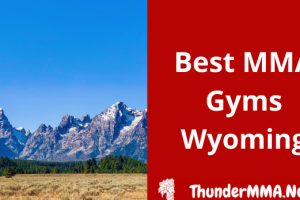 Best MMA gyms in Wyoming